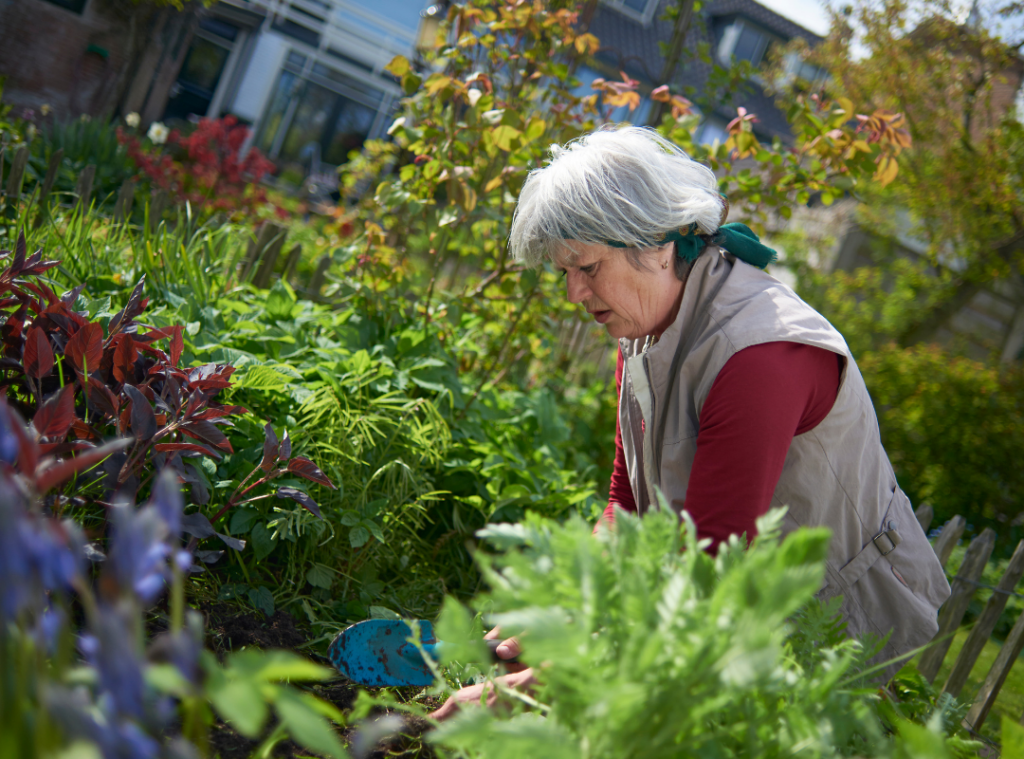 Gardening for Elderly Adults