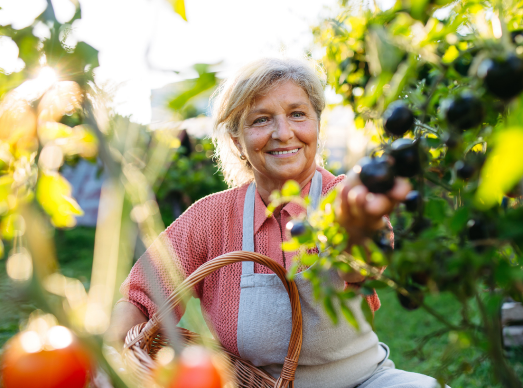 Gardening for Elderly Adults